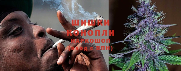 индика Белоозёрский