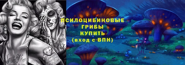индика Белоозёрский