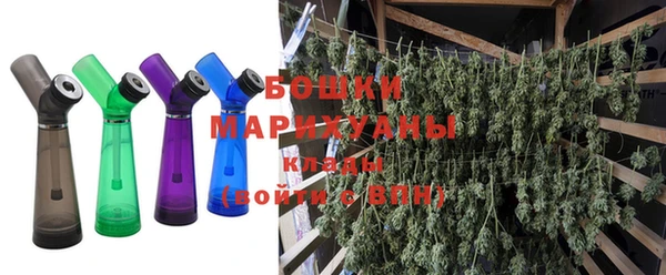 индика Белоозёрский