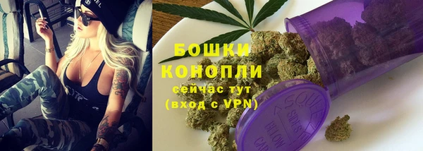 индика Белоозёрский