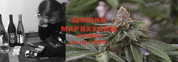 индика Белоозёрский