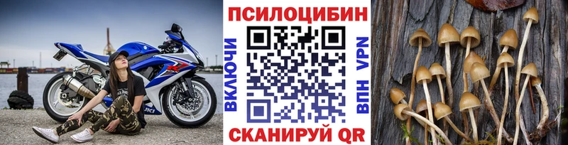 Псилоцибиновые грибы MAGIC MUSHROOMS  купить   Городец 