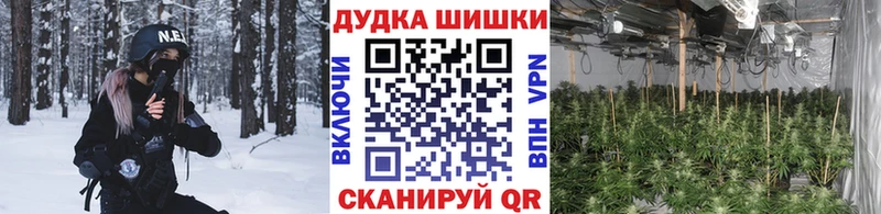 Конопля индика закладка Городец